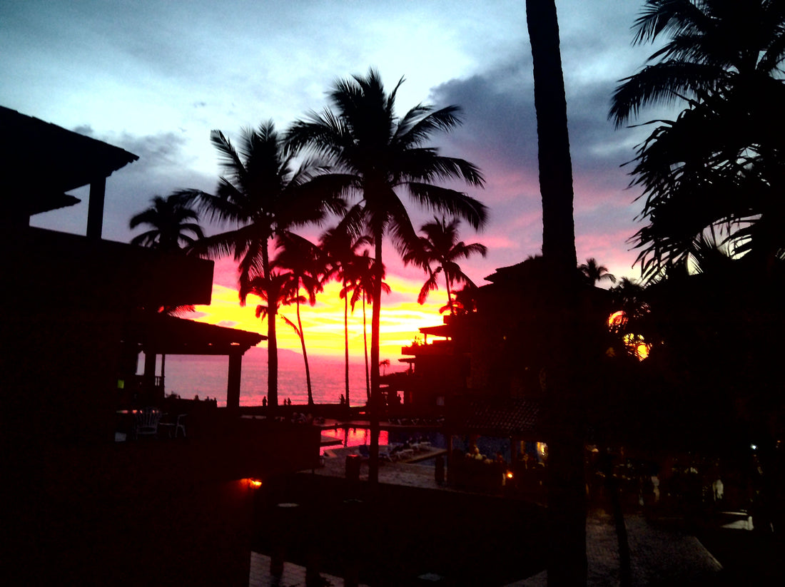 Why Are My Photos Blurry? (And How to Actually Fix It)