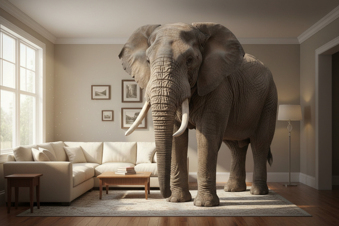 The Elephant in the Room (and Why We Keep Ignoring It)